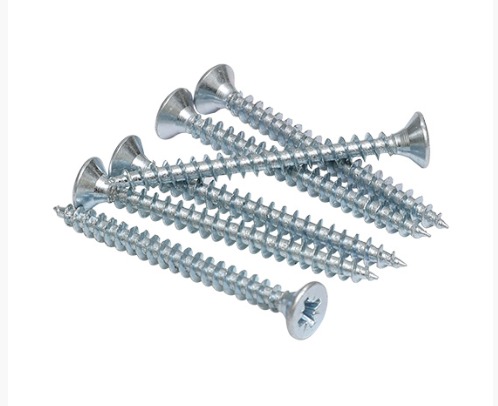 GT-801 # METAL SCREW ( RUGULER )